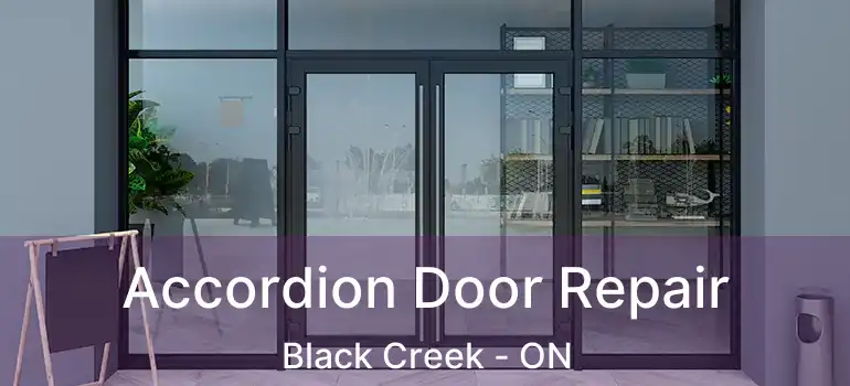  Accordion Door Repair Black Creek - ON