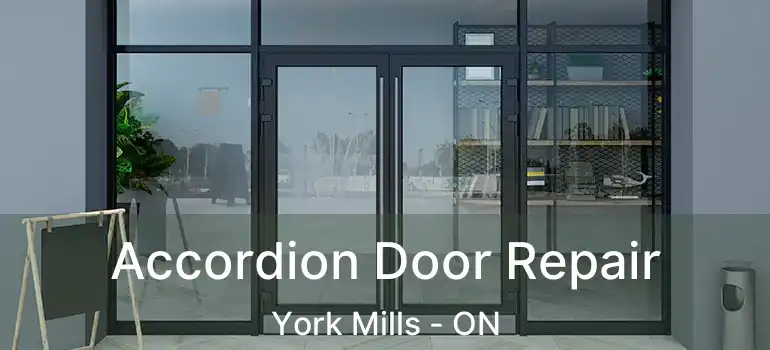  Accordion Door Repair York Mills - ON