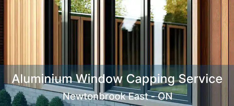  Aluminium Window Capping Service Newtonbrook East - ON