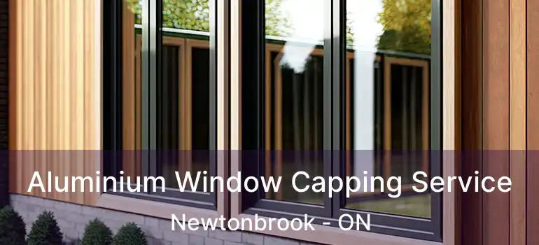  Aluminium Window Capping Service Newtonbrook - ON
