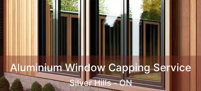  Aluminium Window Capping Service Silver Hills - ON