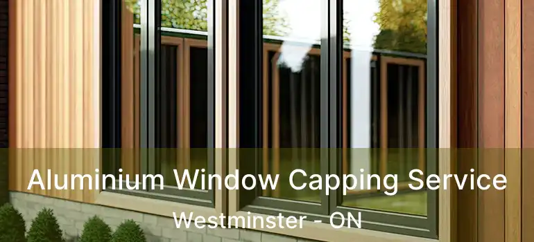  Aluminium Window Capping Service Westminster - ON