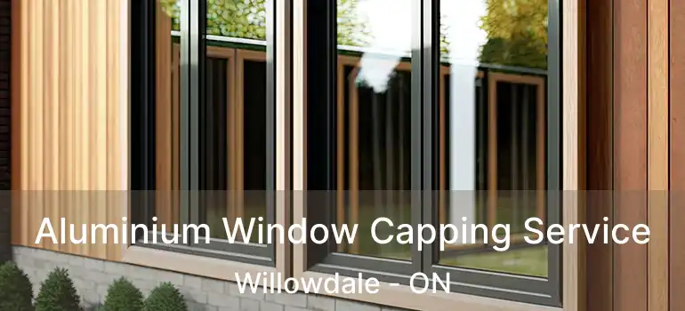  Aluminium Window Capping Service Willowdale - ON