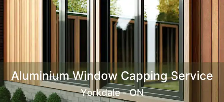  Aluminium Window Capping Service Yorkdale - ON