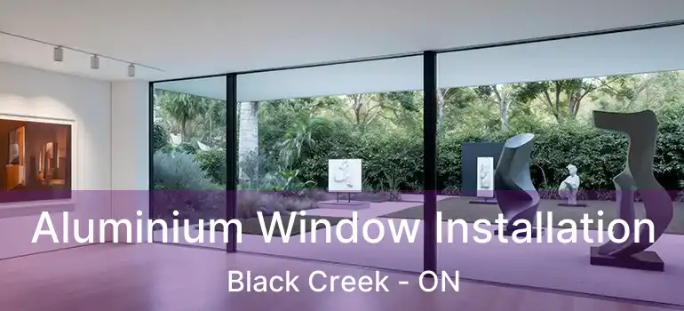 Aluminium Window Installation Black Creek - ON