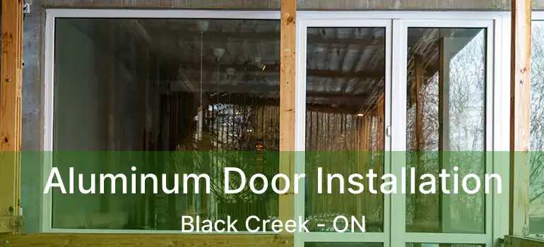  Aluminum Door Installation Black Creek - ON