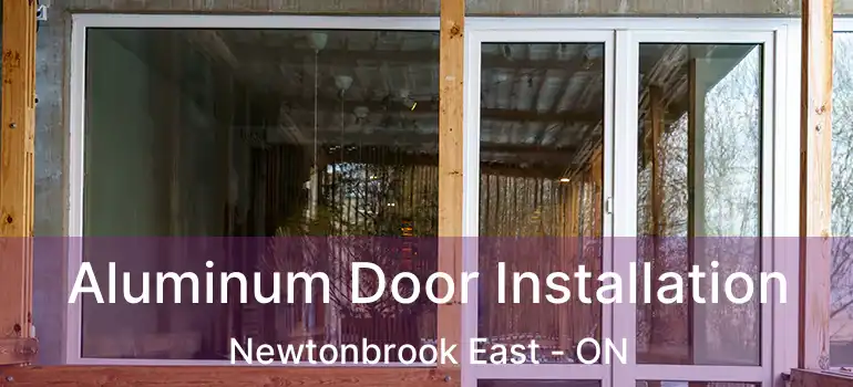  Aluminum Door Installation Newtonbrook East - ON