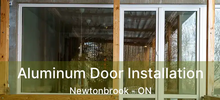  Aluminum Door Installation Newtonbrook - ON