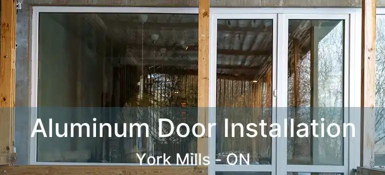  Aluminum Door Installation York Mills - ON
