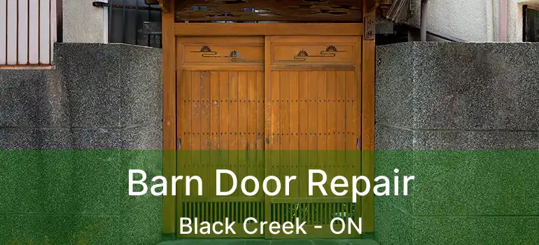  Barn Door Repair Black Creek - ON