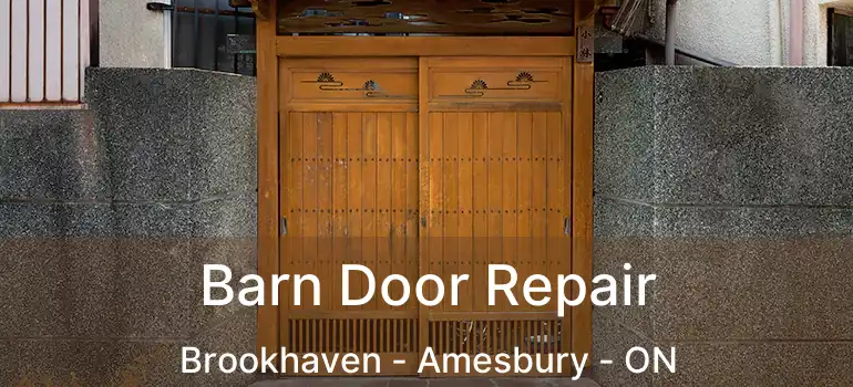  Barn Door Repair Brookhaven - Amesbury - ON