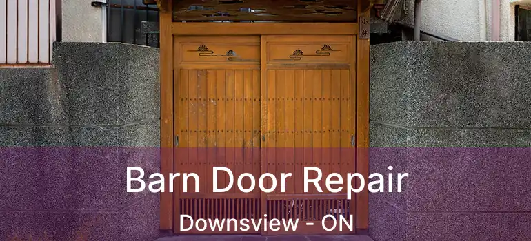  Barn Door Repair Downsview - ON