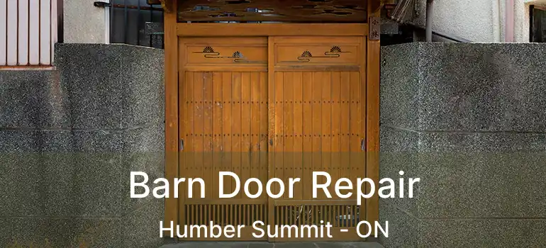  Barn Door Repair Humber Summit - ON