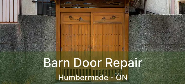  Barn Door Repair Humbermede - ON