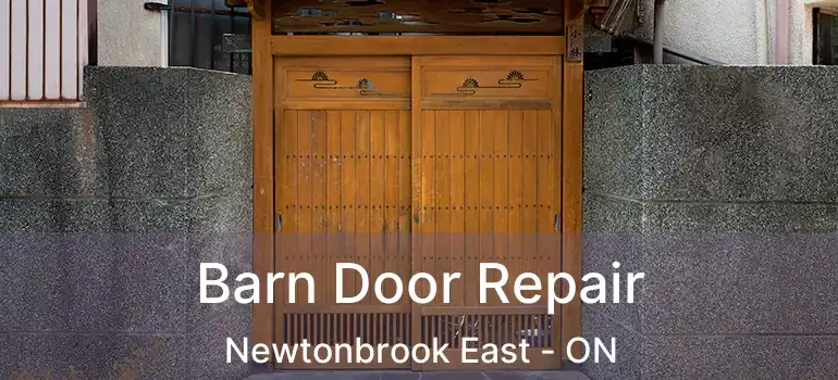  Barn Door Repair Newtonbrook East - ON