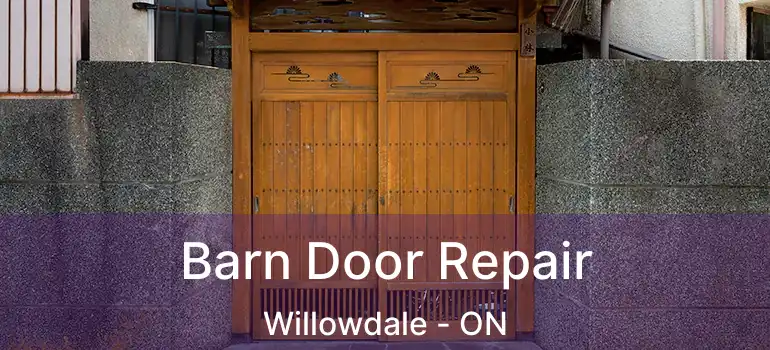  Barn Door Repair Willowdale - ON