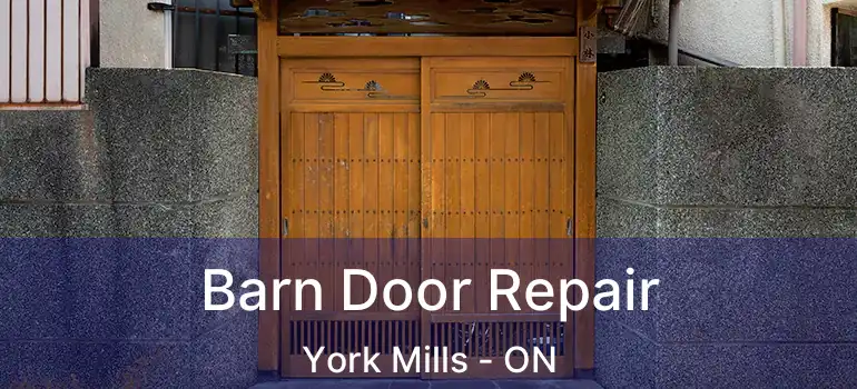  Barn Door Repair York Mills - ON