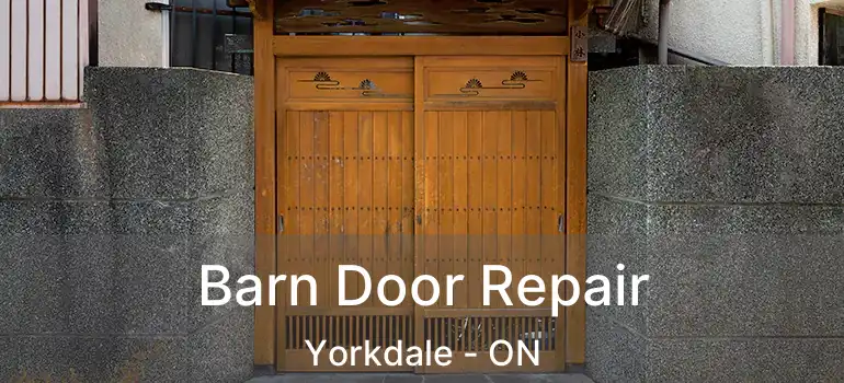  Barn Door Repair Yorkdale - ON