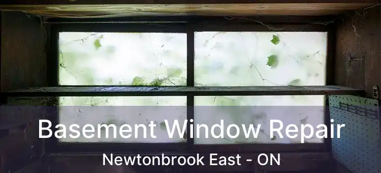  Basement Window Repair Newtonbrook East - ON