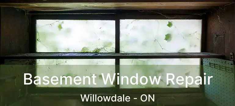  Basement Window Repair Willowdale - ON