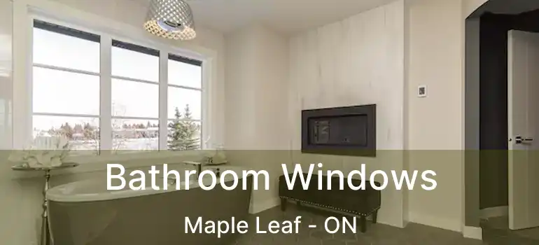  Bathroom Windows Maple Leaf - ON