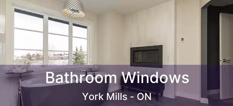  Bathroom Windows York Mills - ON