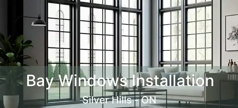  Bay Windows Installation Silver Hills - ON
