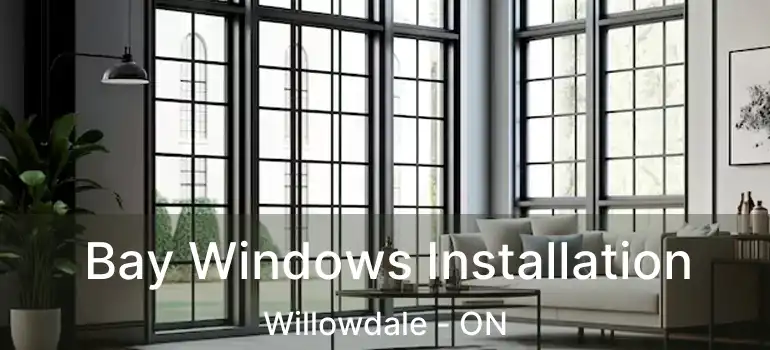  Bay Windows Installation Willowdale - ON