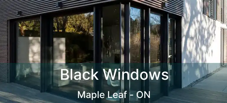  Black Windows Maple Leaf - ON