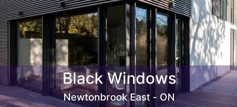  Black Windows Newtonbrook East - ON