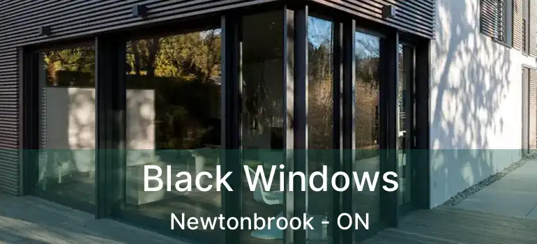  Black Windows Newtonbrook - ON