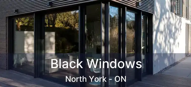  Black Windows North York - ON