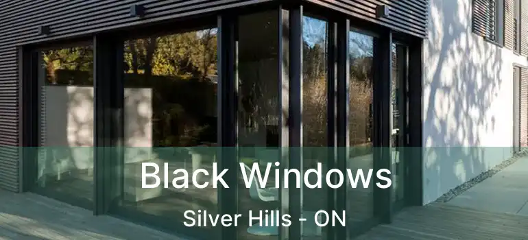  Black Windows Silver Hills - ON