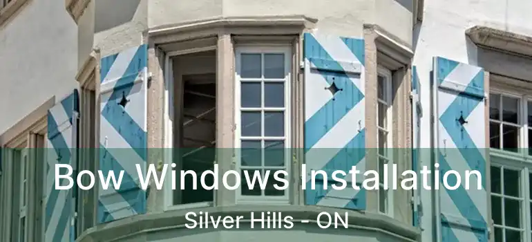  Bow Windows Installation Silver Hills - ON