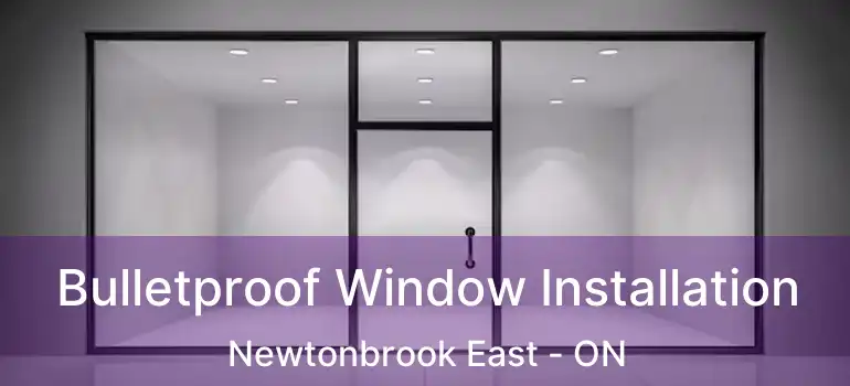  Bulletproof Window Installation Newtonbrook East - ON