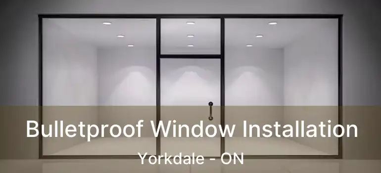  Bulletproof Window Installation Yorkdale - ON