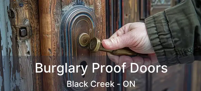  Burglary Proof Doors Black Creek - ON
