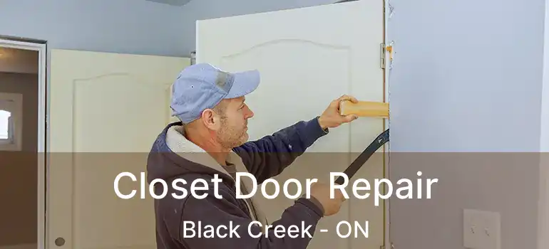  Closet Door Repair Black Creek - ON