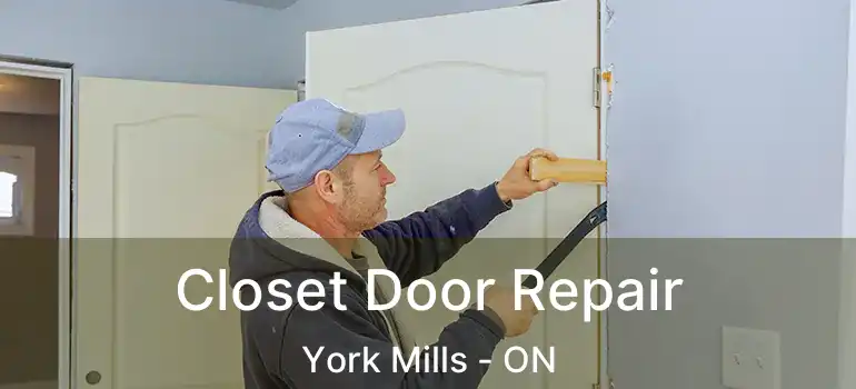  Closet Door Repair York Mills - ON