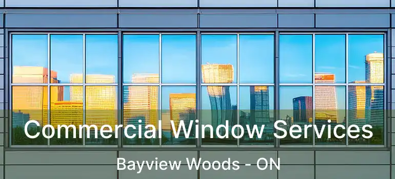  Commercial Window Services Bayview Woods - ON