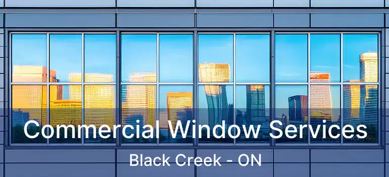  Commercial Window Services Black Creek - ON