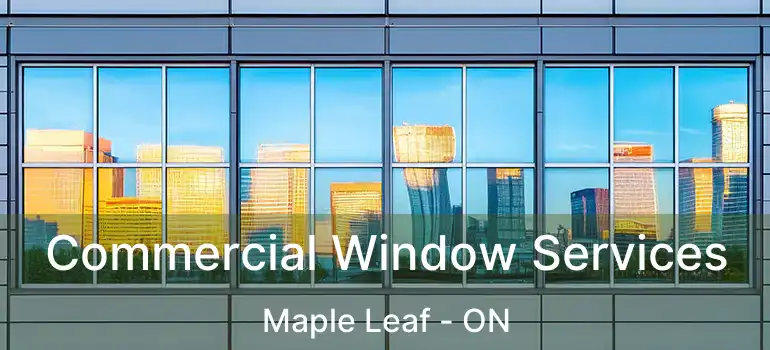  Commercial Window Services Maple Leaf - ON