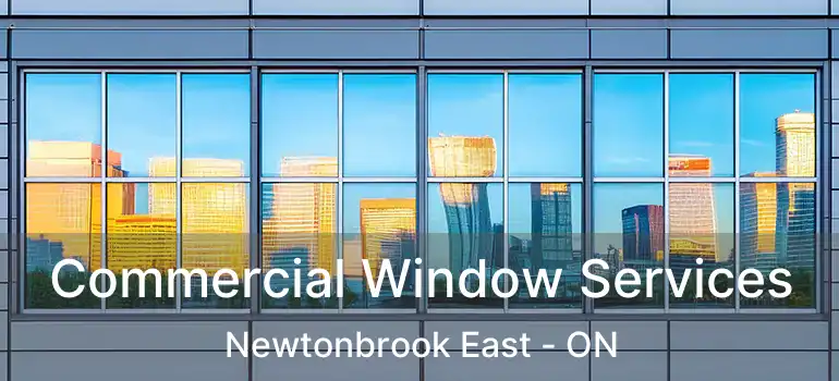  Commercial Window Services Newtonbrook East - ON