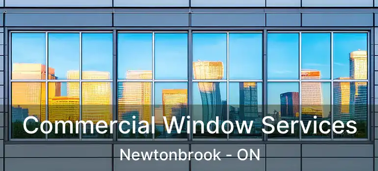  Commercial Window Services Newtonbrook - ON