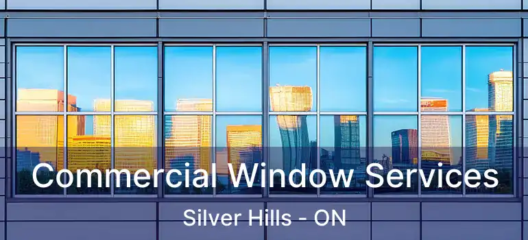  Commercial Window Services Silver Hills - ON
