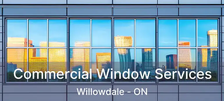  Commercial Window Services Willowdale - ON