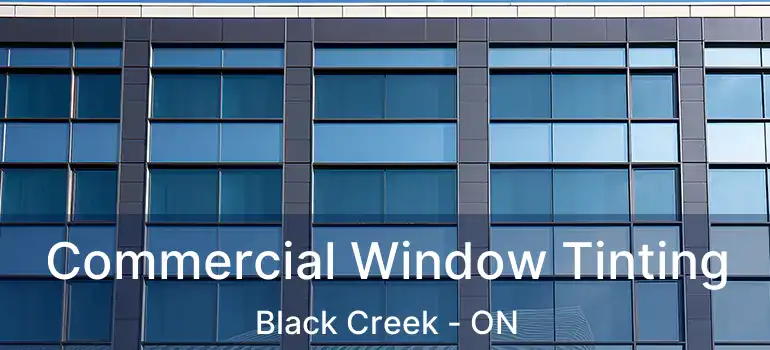  Commercial Window Tinting Black Creek - ON