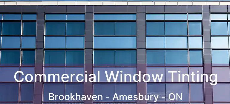  Commercial Window Tinting Brookhaven - Amesbury - ON
