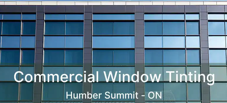  Commercial Window Tinting Humber Summit - ON