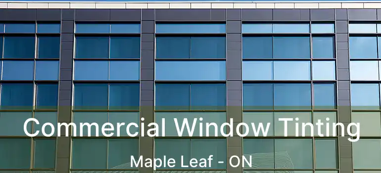  Commercial Window Tinting Maple Leaf - ON